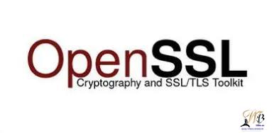 openssl加密软件网站https://